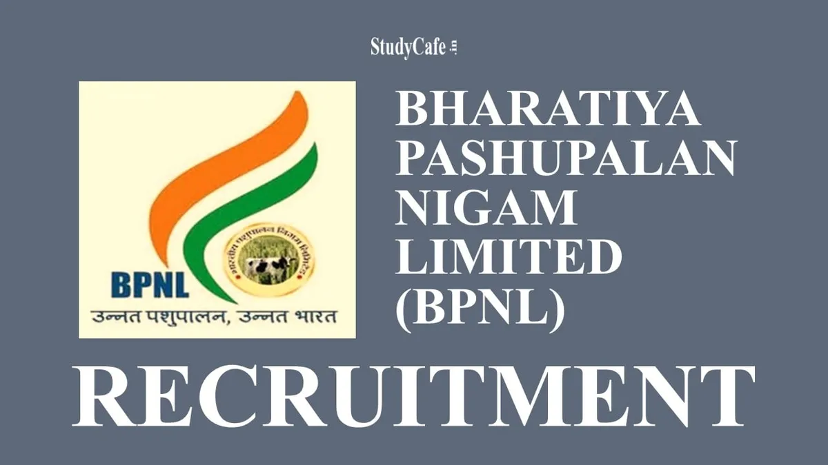 BPN Limited Recruitment 2023.